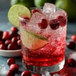 Cranberry Lime Fizz Mocktail