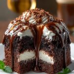 Guinness Chocolate Poke Cake